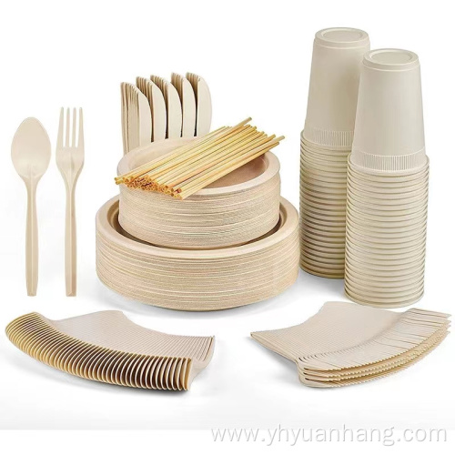 eco friendly disposable plates